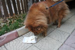 Прикачена снимка
