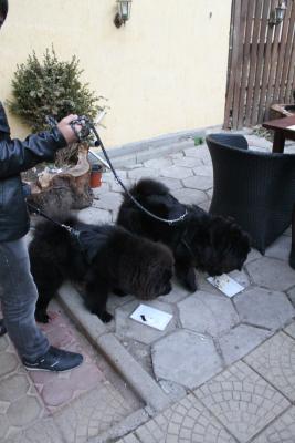 Прикачена снимка