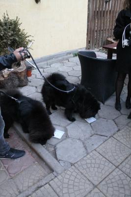 Прикачена снимка