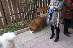 Прикачена снимка