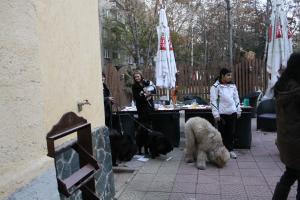 Прикачена снимка
