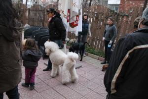 Прикачена снимка