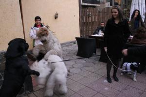 Прикачена снимка