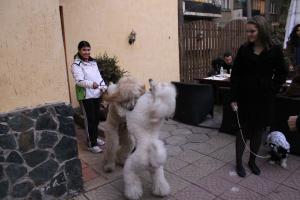 Прикачена снимка