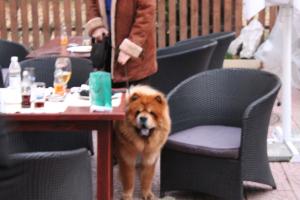 Прикачена снимка