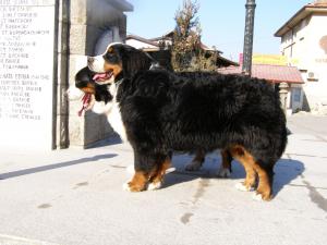 Прикачена снимка