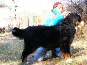Прикачена снимка