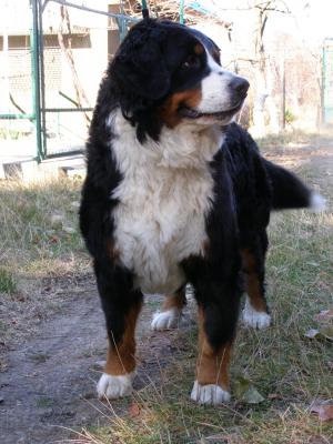 Прикачена снимка