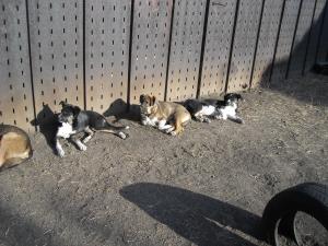 Прикачена снимка