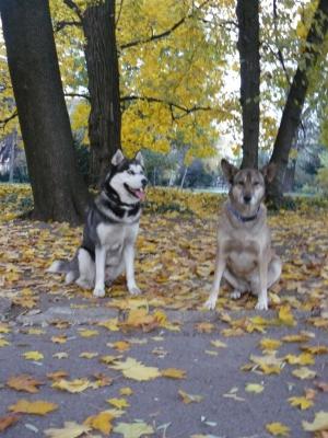 Прикачена снимка