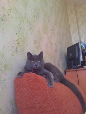 Прикачена снимка