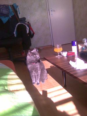 Прикачена снимка