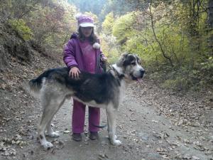 Прикачена снимка