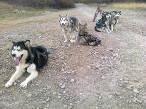 Прикачена снимка