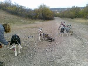 Прикачена снимка