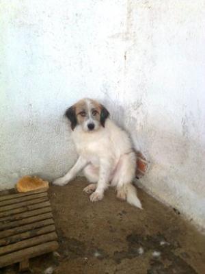 Прикачена снимка