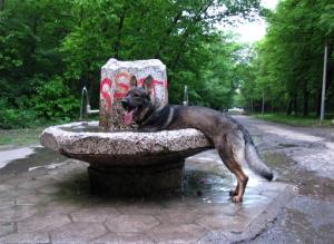 Прикачена снимка