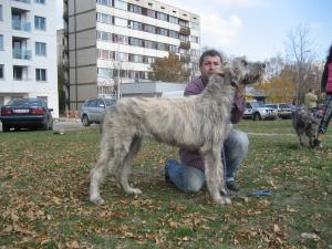 Прикачена снимка