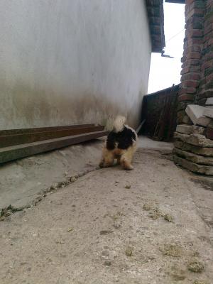 Прикачена снимка