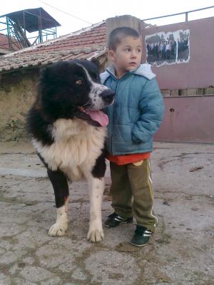 Прикачена снимка