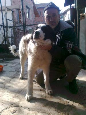 Прикачена снимка