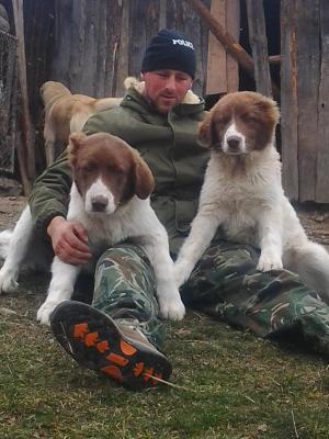 Прикачена снимка