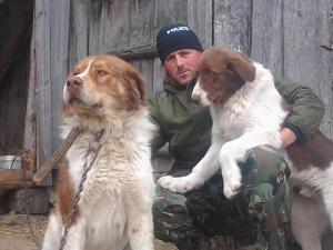 Прикачена снимка