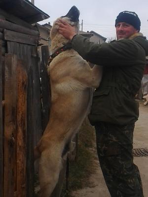 Прикачена снимка