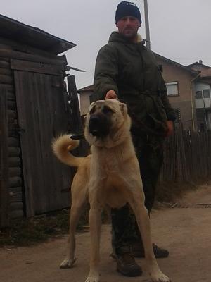 Прикачена снимка