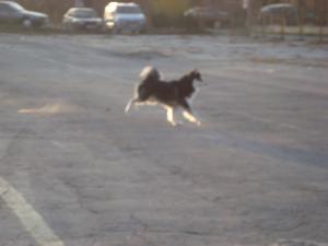 Прикачена снимка