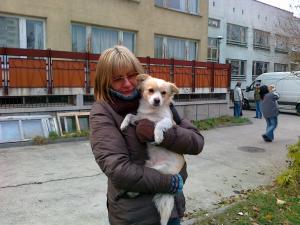 Прикачена снимка