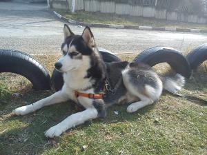 Прикачена снимка
