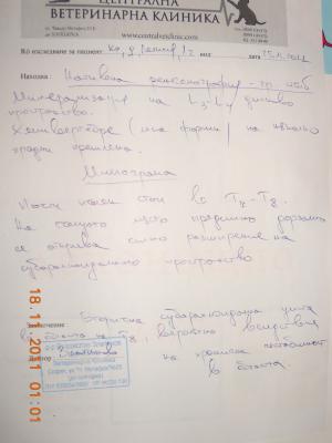 Прикачена снимка