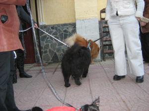 Прикачена снимка