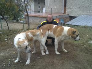 Прикачена снимка