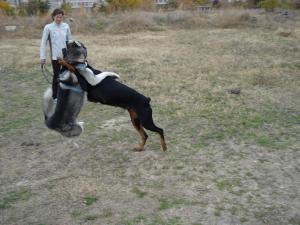Прикачена снимка