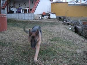 Прикачена снимка