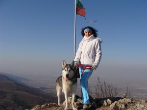 Прикачена снимка