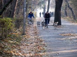 Прикачена снимка