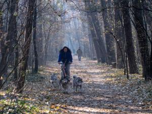 Прикачена снимка