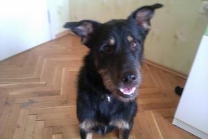 Прикачена снимка