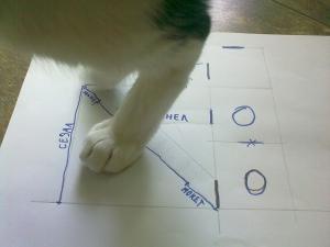 Прикачена снимка