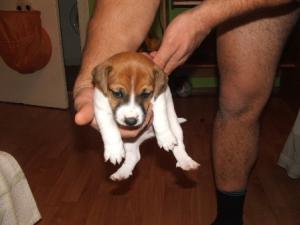 Прикачена снимка