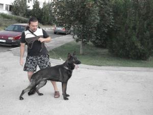 Прикачена снимка