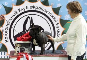 Прикачена снимка
