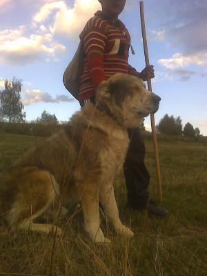 Прикачена снимка