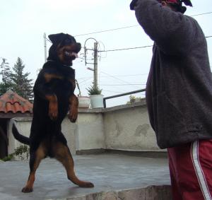 Прикачена снимка
