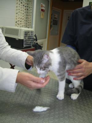 Прикачена снимка