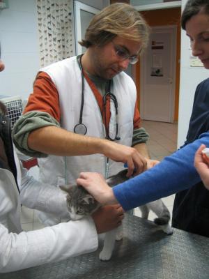 Прикачена снимка