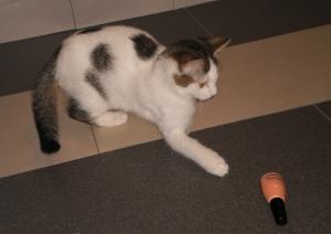 Прикачена снимка